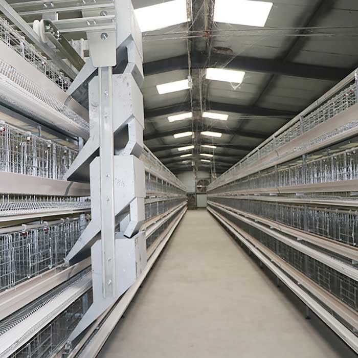 고능률 가금류 닭 감금소 90 - 160 새/세트 엄밀한 구조