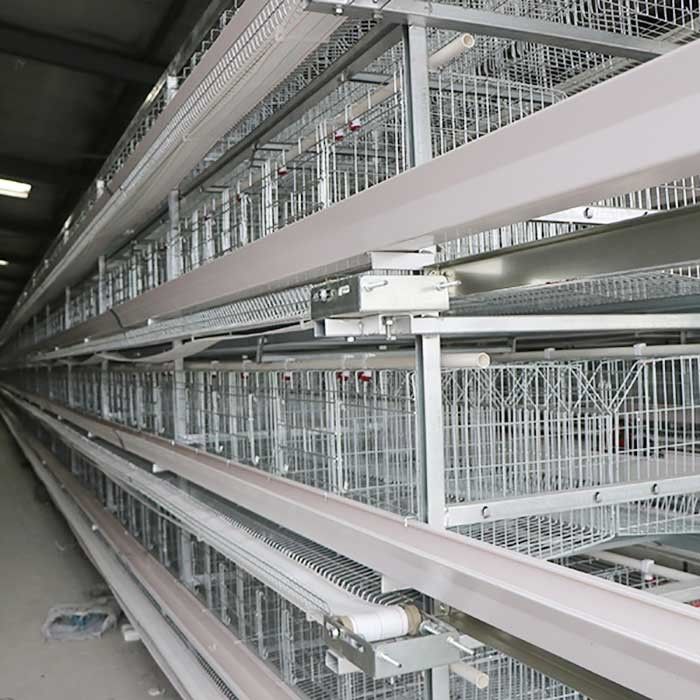 놓는 암탉, 계란 닭 감금소 노동 저축을 위한 직류 전기를 통한 Wrie 건전지 감금소