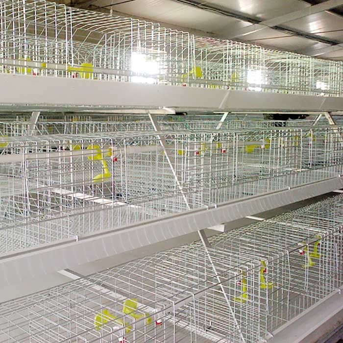 0.75kw 금속 닭 감금소, 가금류를 위한 자동화된 통제 건전지에 의하여 운영하는 감금소