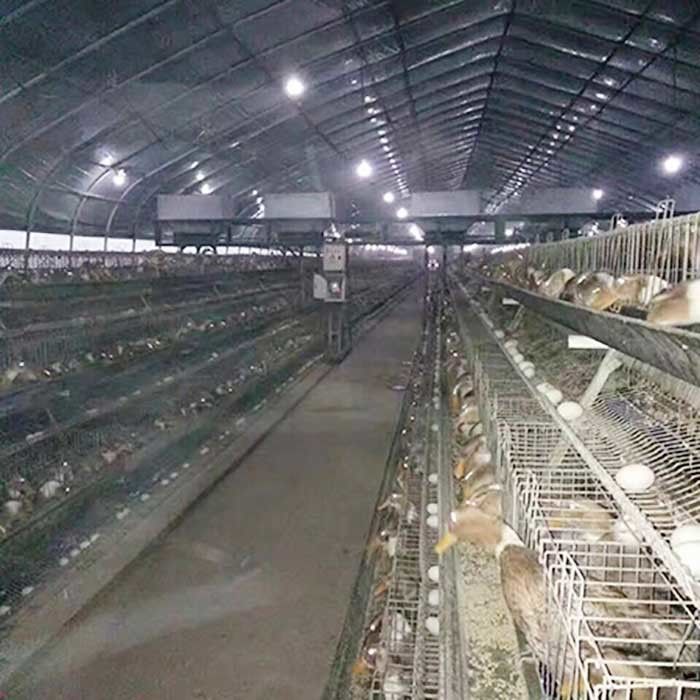 가금류 농장을 위한 구조 닭 층 오리 사육 농장 케이지