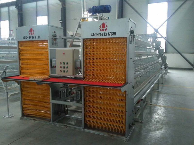 Henan Huaxing Poultry Equipments Co.,Ltd. 공장 생산 라인