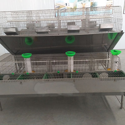 철강선 메시 농장 토끼 감금소 뜨거운 담궈진 직류 전기를 통한 표면 12 미라 수용량