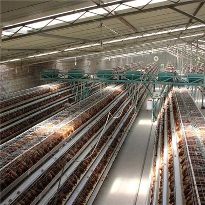 노동 저축을 일해 닭을 위한 H 유형 4 층 자동적인 가금류 지류 체계