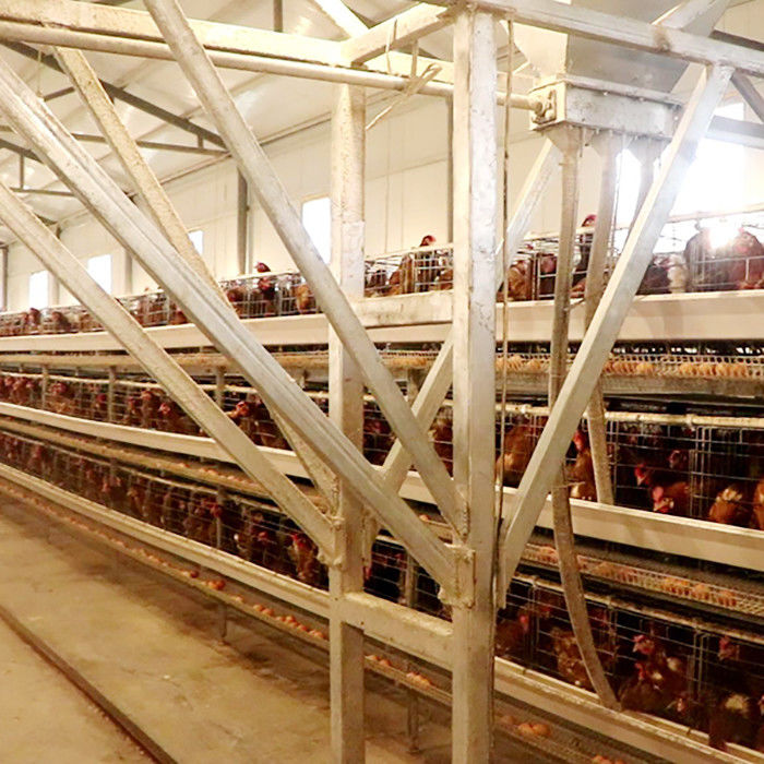 강력한 청소하게 쉬운 대규모 농장 계란 판매를 위한 유형 층 닭 감금소