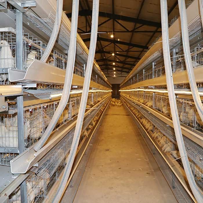 큰 수용량 농장 층 닭 감금소 전지 효력 뜨거운 담궈진 Gavalnized 물자