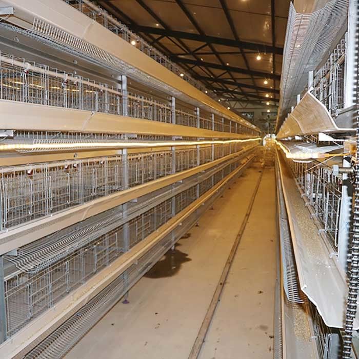 가금류 경작 건전지 감금소 체계, 닭을 위한 유형 층 감금소를 기르는 우리