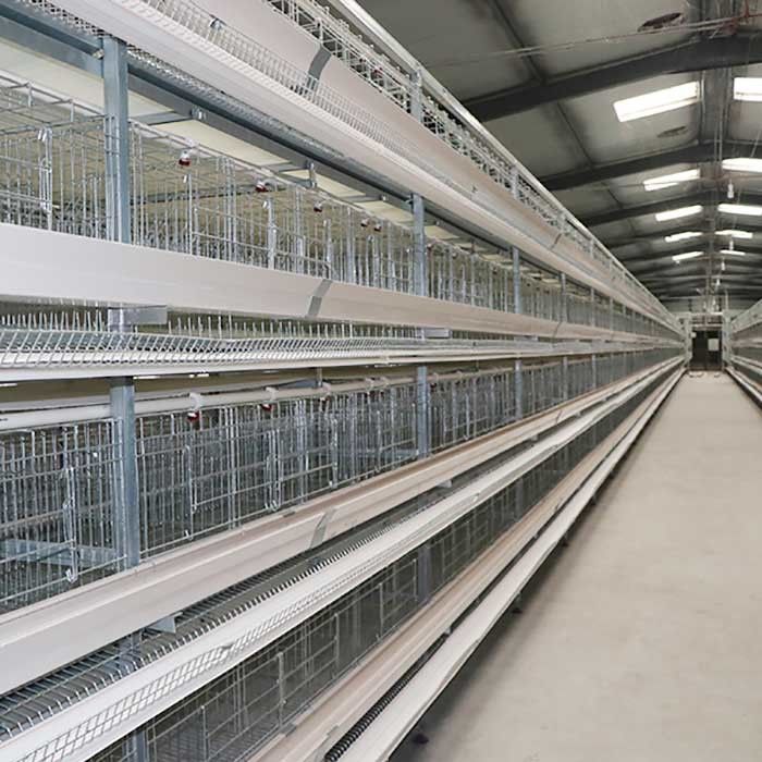 가금류 경작 건전지 감금소 체계, 닭을 위한 유형 층 감금소를 기르는 우리