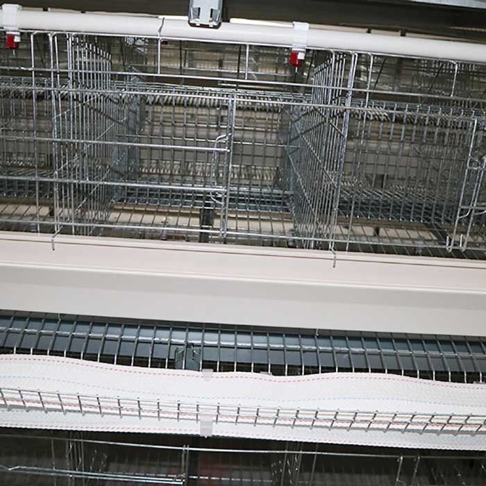 내구재 유형 층 닭 감금소 체계 자동 통제 IS9001 승인