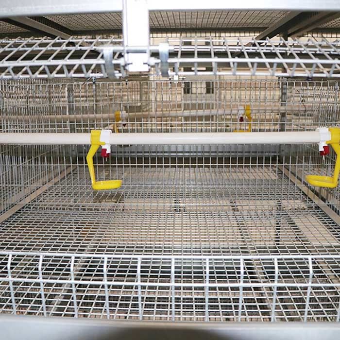 노후화 저항 가금류 농장 감금소, 보일러를 위한 3개의 층 건전지 감금소 체계