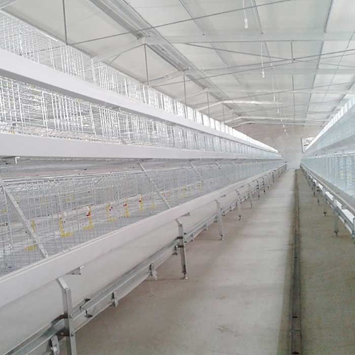 농업 가축 가금류 닭 감금소 4 층 8 문 높은 내구성