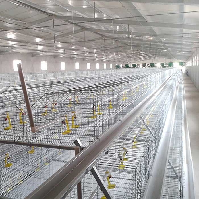 Corrision 보일러를 위한 저항하는 건전지 감금소, 자동 통제 하이테크 닭 감금소