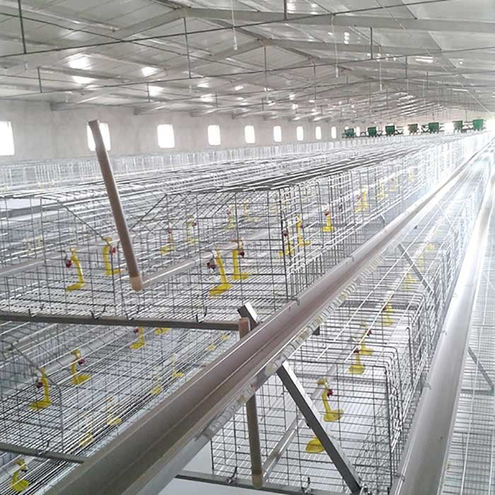 Corrision 보일러를 위한 저항하는 건전지 감금소, 자동 통제 하이테크 닭 감금소