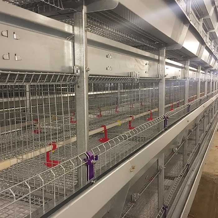 매끄러운 메시 4 층 층 감금소, 벨브 연결관을 가진 아기 닭 감금소