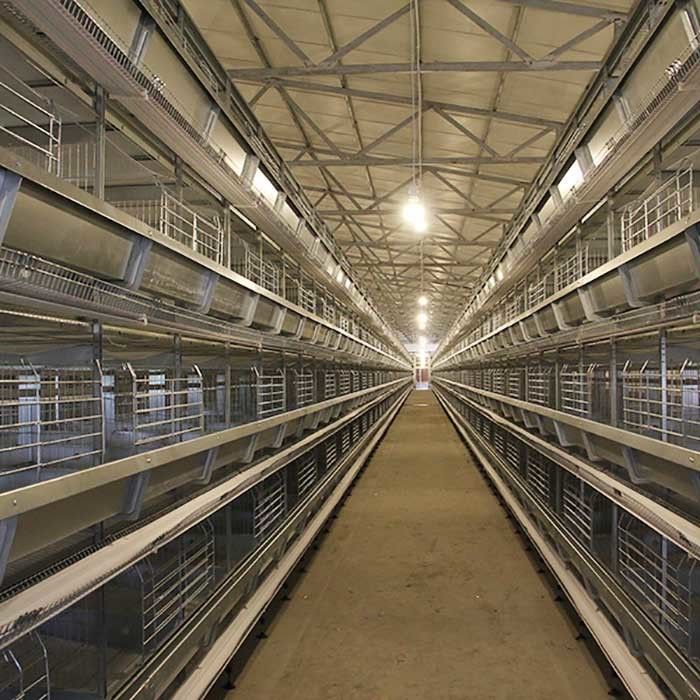 자동적인 층 가금류 농업 장비 건전지 닭 계란 층 감금소 체계