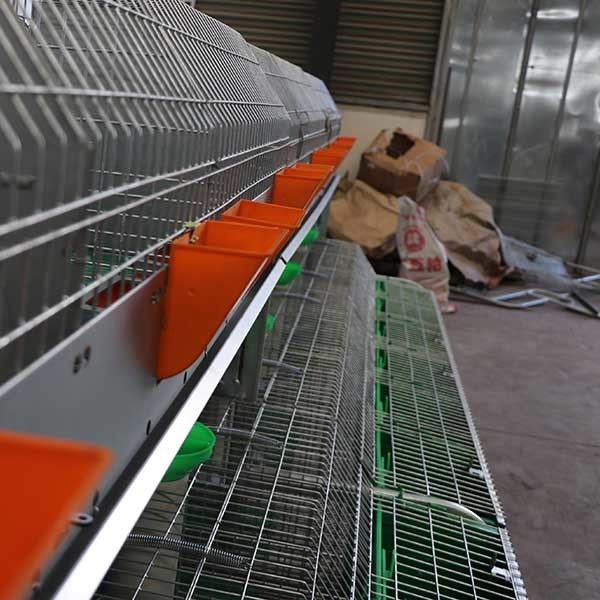 큰 자동 청소 농장 토끼 감금소 안정되어 있는 성과 쉬운 정비