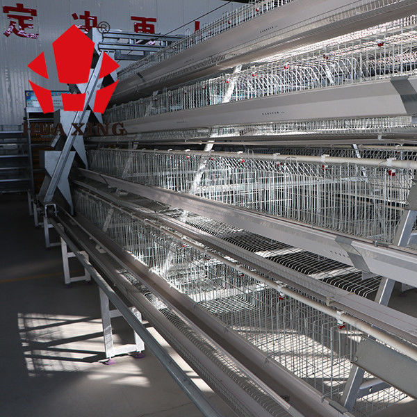 내구재 유형 층 닭 감금소 체계 자동 통제 IS9001 승인