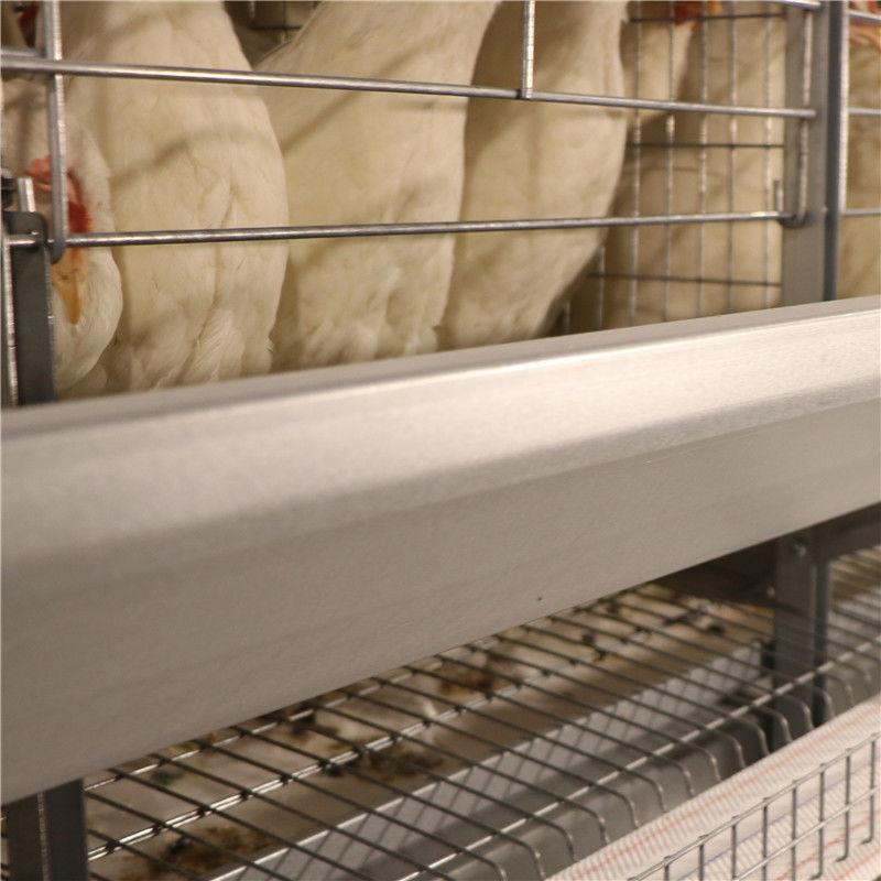 저항하는 SGS 계란 건전지 층 닭장 가금류 농장 부식