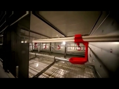 4 Tier 2 Doors H Type Broiler Cage Hot Galvanized Surface Treatment